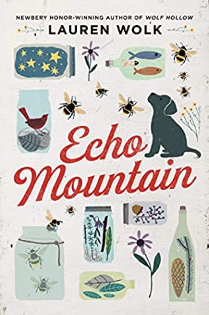 book echo mountain